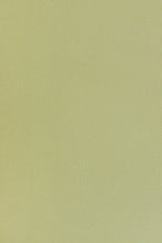 Load image into Gallery viewer, Designer Studio Pants // Sage